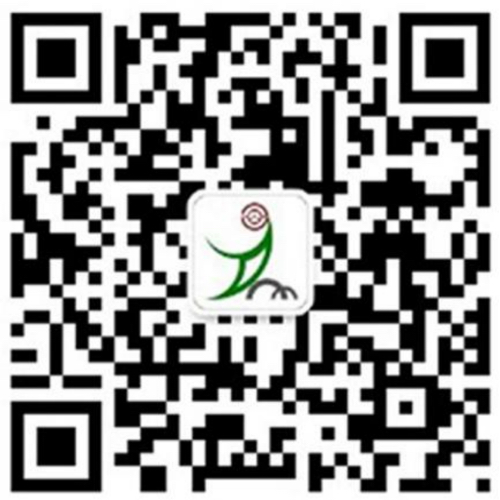 微信公众号
